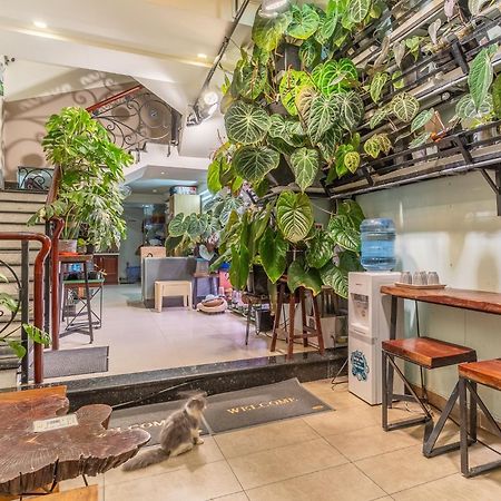 ホーチミン市 Amango Dormホステル エクステリア 写真